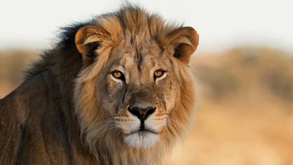 Top 10 Hidden Gems for the Ultimate Adventure Seekers